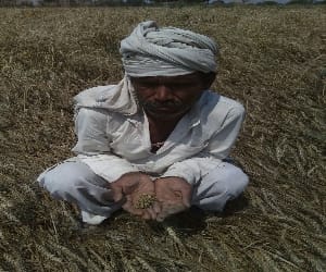 kisan news